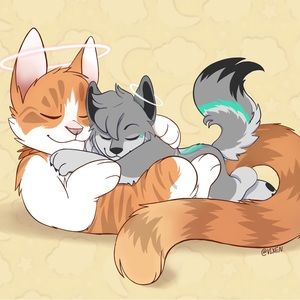 Meet your Posher, Tara